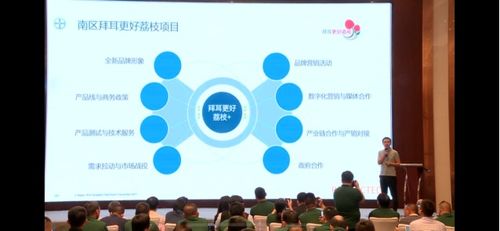 全國荔枝主產區(qū)種植面積達810萬畝 如何實現(xiàn)荔枝產業(yè)興旺